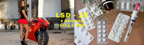 эйфоретик Богданович