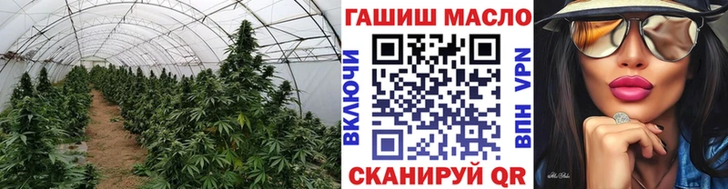 ТГК Wax  закладки  ссылка на мегу как зайти  Валдай 