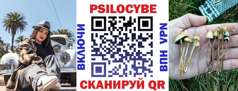 Псилоцибиновые грибы MAGIC MUSHROOMS  ссылка на мегу маркетплейс  Валдай  закладка 